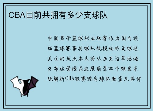 CBA目前共拥有多少支球队